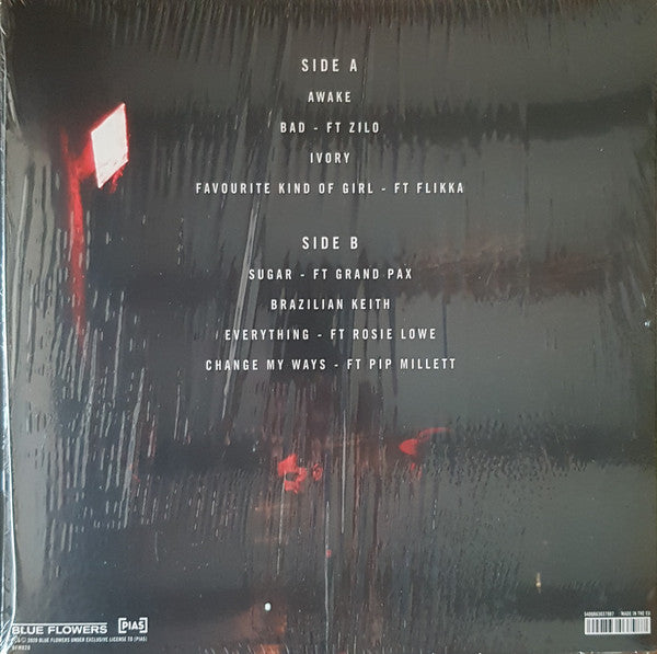 Gotts Street Park : Volume Two (LP)