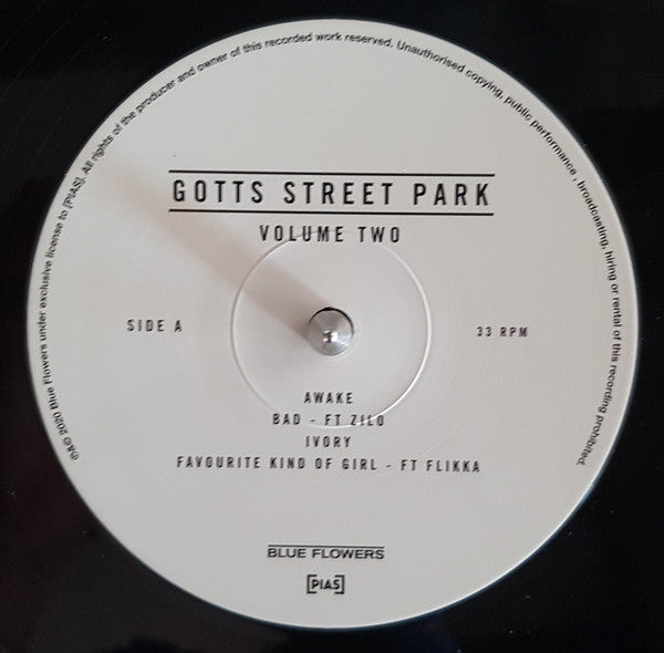 Gotts Street Park : Volume Two (LP)