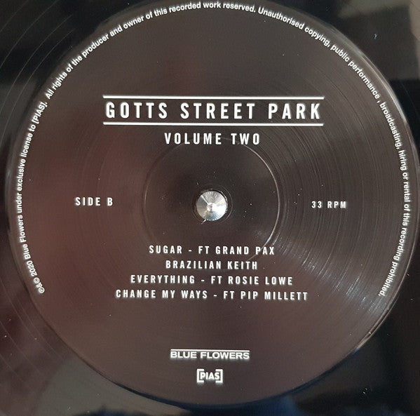 Gotts Street Park : Volume Two (LP)