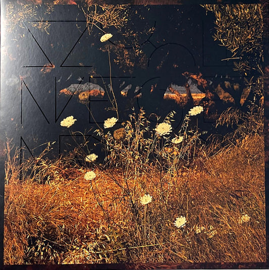 Szun Waves : Earth Patterns (LP, Album)