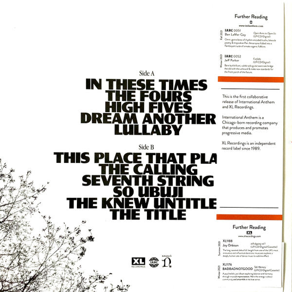 Makaya McCraven : In These Times (LP, Album)